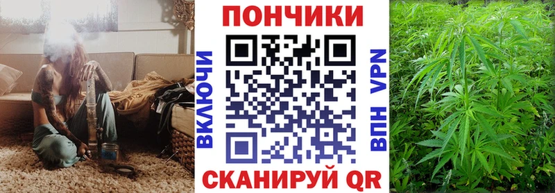 МАРИХУАНА марихуана Новодвинск